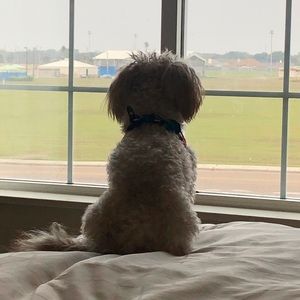 Meet your Posher, Krista